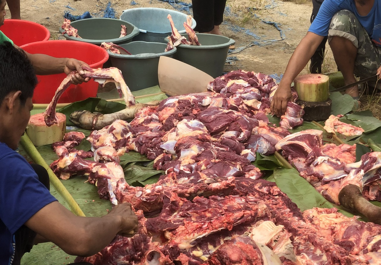 Daging Kurban Tidak Boleh Asal Disimpan, Ini Cara Tepat Menjaganya Tetap Segar